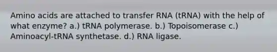 Amino acids are attached to transfer RNA (tRNA) with the help of what enzyme? a.) tRNA polymerase. b.) Topoisomerase c.) Aminoacyl-tRNA synthetase. d.) RNA ligase.