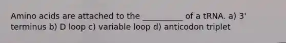 Amino acids are attached to the __________ of a tRNA. a) 3' terminus b) D loop c) variable loop d) anticodon triplet