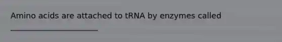 Amino acids are attached to tRNA by enzymes called ______________________