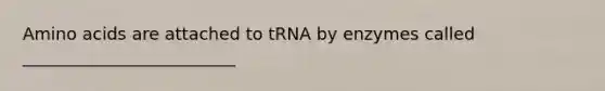 <a href='https://www.questionai.com/knowledge/k9gb720LCl-amino-acids' class='anchor-knowledge'>amino acids</a> are attached to tRNA by enzymes called _________________________