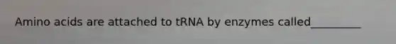 Amino acids are attached to tRNA by enzymes called_________