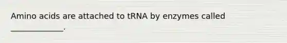 Amino acids are attached to tRNA by enzymes called _____________.