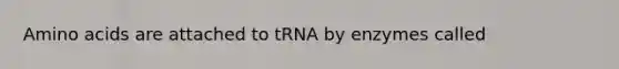 <a href='https://www.questionai.com/knowledge/k9gb720LCl-amino-acids' class='anchor-knowledge'>amino acids</a> are attached to tRNA by enzymes called