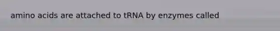 <a href='https://www.questionai.com/knowledge/k9gb720LCl-amino-acids' class='anchor-knowledge'>amino acids</a> are attached to tRNA by enzymes called