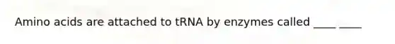 Amino acids are attached to tRNA by enzymes called ____ ____