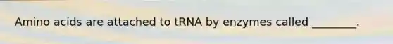 Amino acids are attached to tRNA by enzymes called ________.