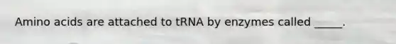 <a href='https://www.questionai.com/knowledge/k9gb720LCl-amino-acids' class='anchor-knowledge'>amino acids</a> are attached to tRNA by enzymes called _____.