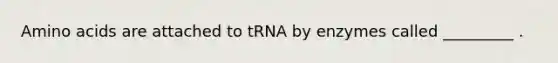 <a href='https://www.questionai.com/knowledge/k9gb720LCl-amino-acids' class='anchor-knowledge'>amino acids</a> are attached to tRNA by enzymes called _________ .