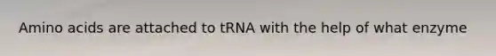 Amino acids are attached to tRNA with the help of what enzyme