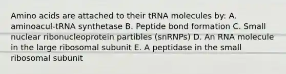 Amino acids are attached to their tRNA molecules by: A. aminoacul-tRNA synthetase B. Peptide bond formation C. Small nuclear ribonucleoprotein partibles (snRNPs) D. An RNA molecule in the large ribosomal subunit E. A peptidase in the small ribosomal subunit