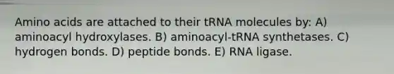 Amino acids are attached to their tRNA molecules by: A) aminoacyl hydroxylases. B) aminoacyl-tRNA synthetases. C) hydrogen bonds. D) peptide bonds. E) RNA ligase.