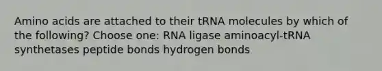 Amino acids are attached to their tRNA molecules by which of the following? Choose one: RNA ligase aminoacyl-tRNA synthetases peptide bonds hydrogen bonds