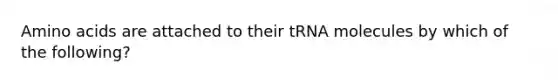 Amino acids are attached to their tRNA molecules by which of the following?