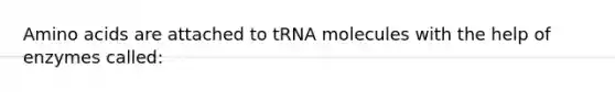 Amino acids are attached to tRNA molecules with the help of enzymes called: