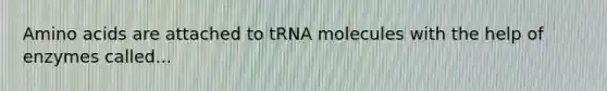 Amino acids are attached to tRNA molecules with the help of enzymes called...