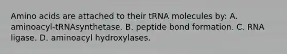 Amino acids are attached to their tRNA molecules by: A. aminoacyl-tRNAsynthetase. B. peptide bond formation. C. RNA ligase. D. aminoacyl hydroxylases.