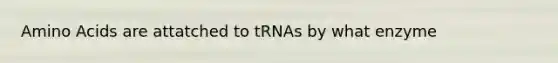 Amino Acids are attatched to tRNAs by what enzyme