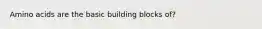Amino acids are the basic building blocks of?