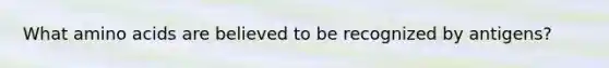 What amino acids are believed to be recognized by antigens?
