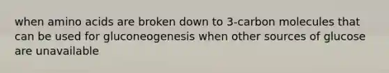 when amino acids are broken down to 3-carbon molecules that can be used for gluconeogenesis when other sources of glucose are unavailable