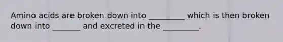 Amino acids are broken down into _________ which is then broken down into _______ and excreted in the _________.