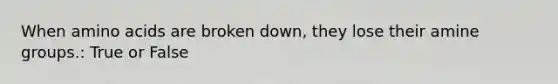 When amino acids are broken down, they lose their amine groups.: True or False