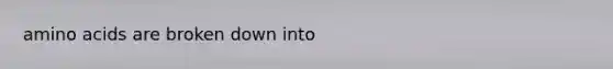 amino acids are broken down into