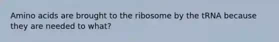 Amino acids are brought to the ribosome by the tRNA because they are needed to what?