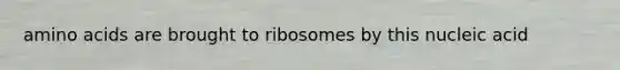 amino acids are brought to ribosomes by this nucleic acid