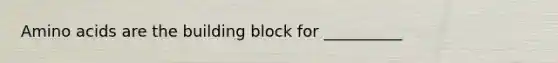 Amino acids are the building block for __________