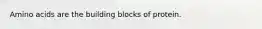 Amino acids are the building blocks of protein.