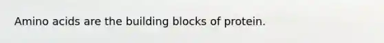Amino acids are the building blocks of protein.