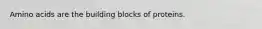 Amino acids are the building blocks of proteins.
