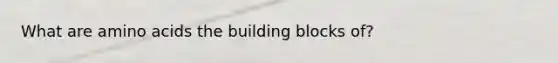 What are amino acids the building blocks of?