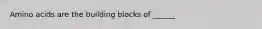 Amino acids are the building blocks of ______