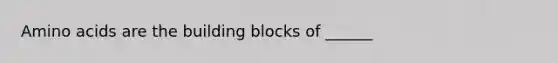 Amino acids are the building blocks of ______