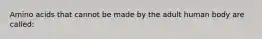 Amino acids that cannot be made by the adult human body are called: