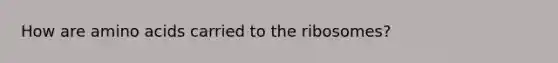 How are amino acids carried to the ribosomes?