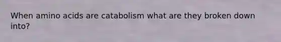 When <a href='https://www.questionai.com/knowledge/k9gb720LCl-amino-acids' class='anchor-knowledge'>amino acids</a> are catabolism what are they broken down into?