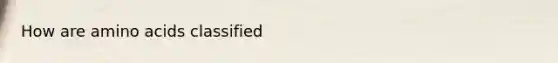 How are <a href='https://www.questionai.com/knowledge/k9gb720LCl-amino-acids' class='anchor-knowledge'>amino acids</a> classified