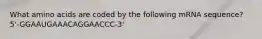 What amino acids are coded by the following mRNA sequence? 5'-GGAAUGAAACAGGAACCC-3'