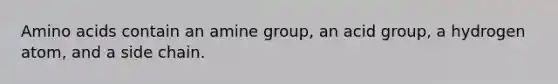 Amino acids contain an amine group, an acid group, a hydrogen atom, and a side chain.