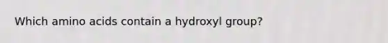 Which amino acids contain a hydroxyl group?