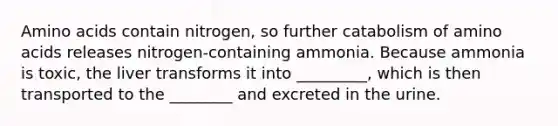 Amino acids contain nitrogen, so further catabolism of amino acids releases nitrogen-containing ammonia. Because ammonia is toxic, the liver transforms it into _________, which is then transported to the ________ and excreted in the urine.