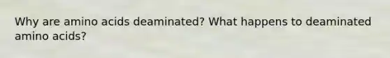 Why are amino acids deaminated? What happens to deaminated amino acids?