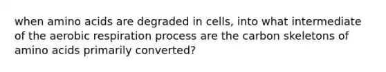 when <a href='https://www.questionai.com/knowledge/k9gb720LCl-amino-acids' class='anchor-knowledge'>amino acids</a> are degraded in cells, into what intermediate of the <a href='https://www.questionai.com/knowledge/kyxGdbadrV-aerobic-respiration' class='anchor-knowledge'>aerobic respiration</a> process are the carbon skeletons of amino acids primarily converted?