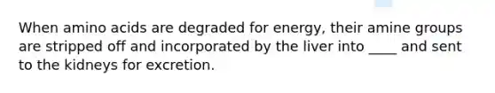 When amino acids are degraded for energy, their amine groups are stripped off and incorporated by the liver into ____ and sent to the kidneys for excretion.