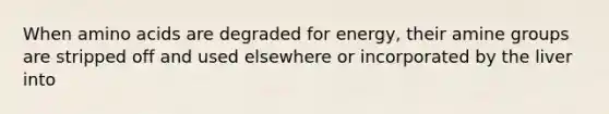 When amino acids are degraded for energy, their amine groups are stripped off and used elsewhere or incorporated by the liver into