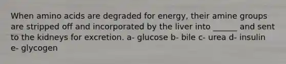 When amino acids are degraded for energy, their amine groups are stripped off and incorporated by the liver into ______ and sent to the kidneys for excretion. a- glucose b- bile c- urea d- insulin e- glycogen