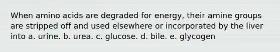 When amino acids are degraded for energy, their amine groups are stripped off and used elsewhere or incorporated by the liver into a. urine. b. urea. c. glucose. d. bile.​ e. glycogen